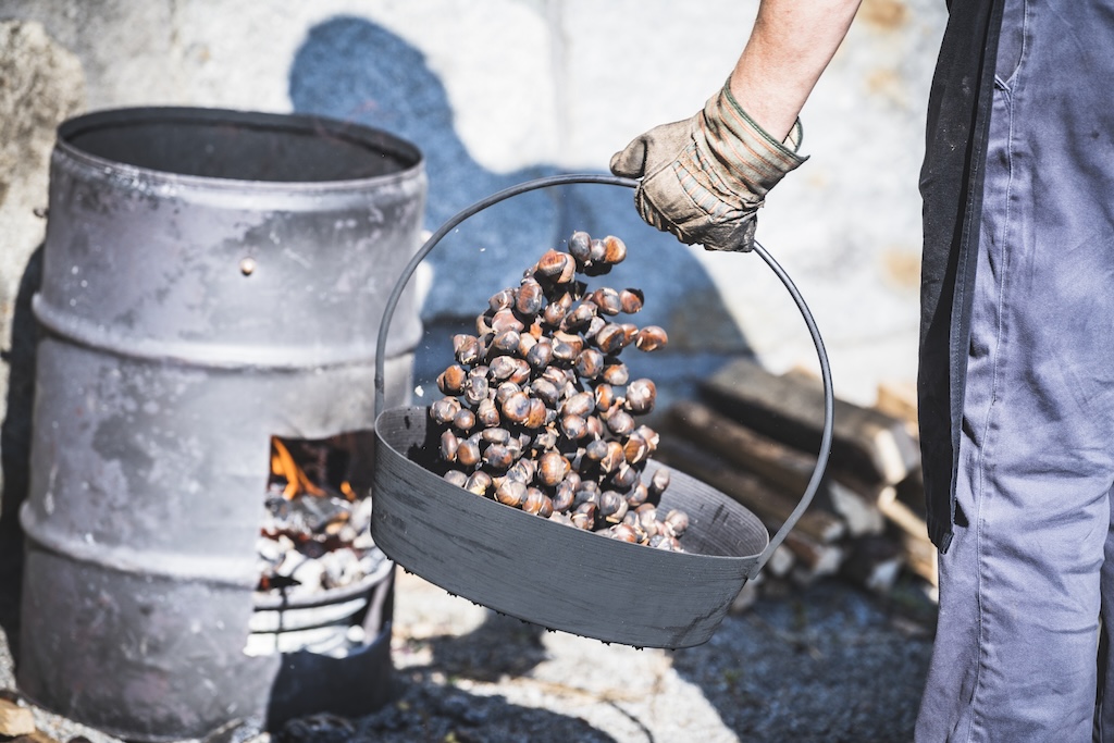 Immagine gallery evento Visite guidate alle selve castanili