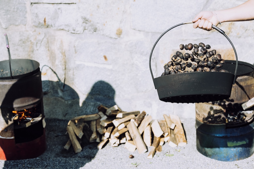 Immagine gallery evento Visite guidate alle selve castanili