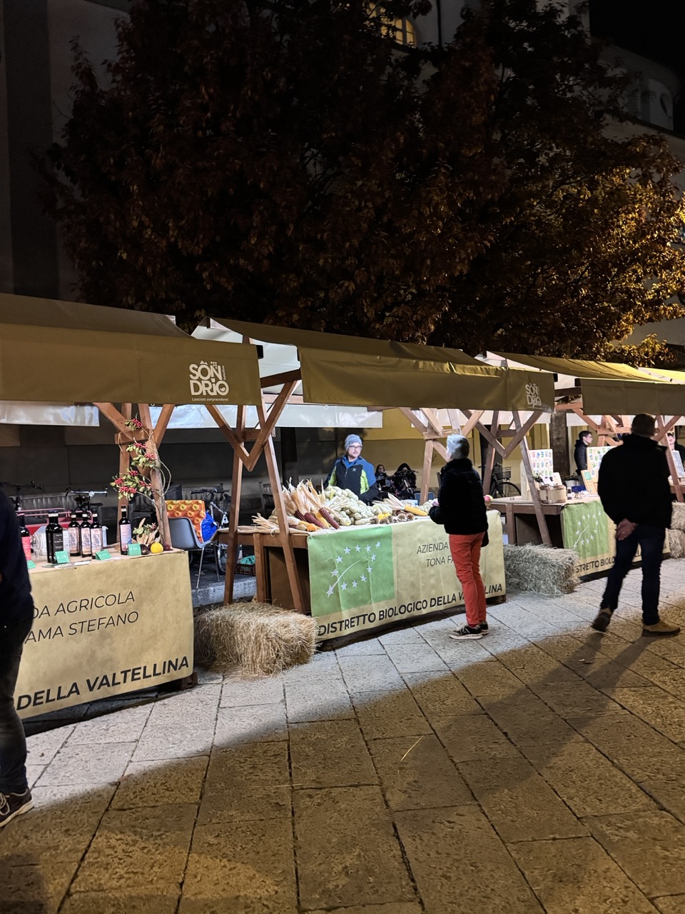 Immagine gallery articolo Sondrio ha voglia di divertirsi?