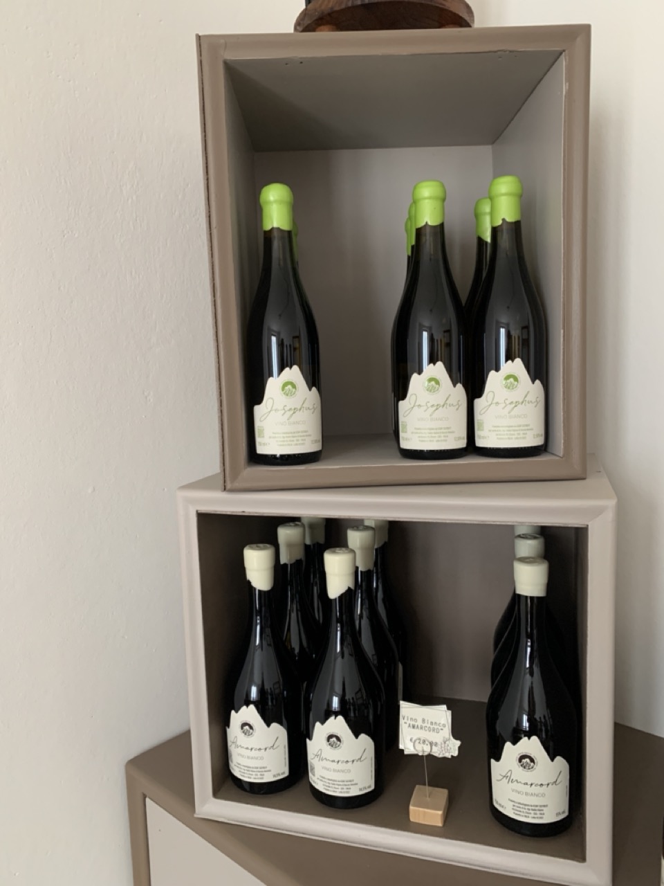 Immagine gallery azienda Radici Alpine