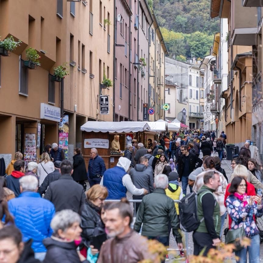 Immagine gallery evento Mostra del Bitto 2025