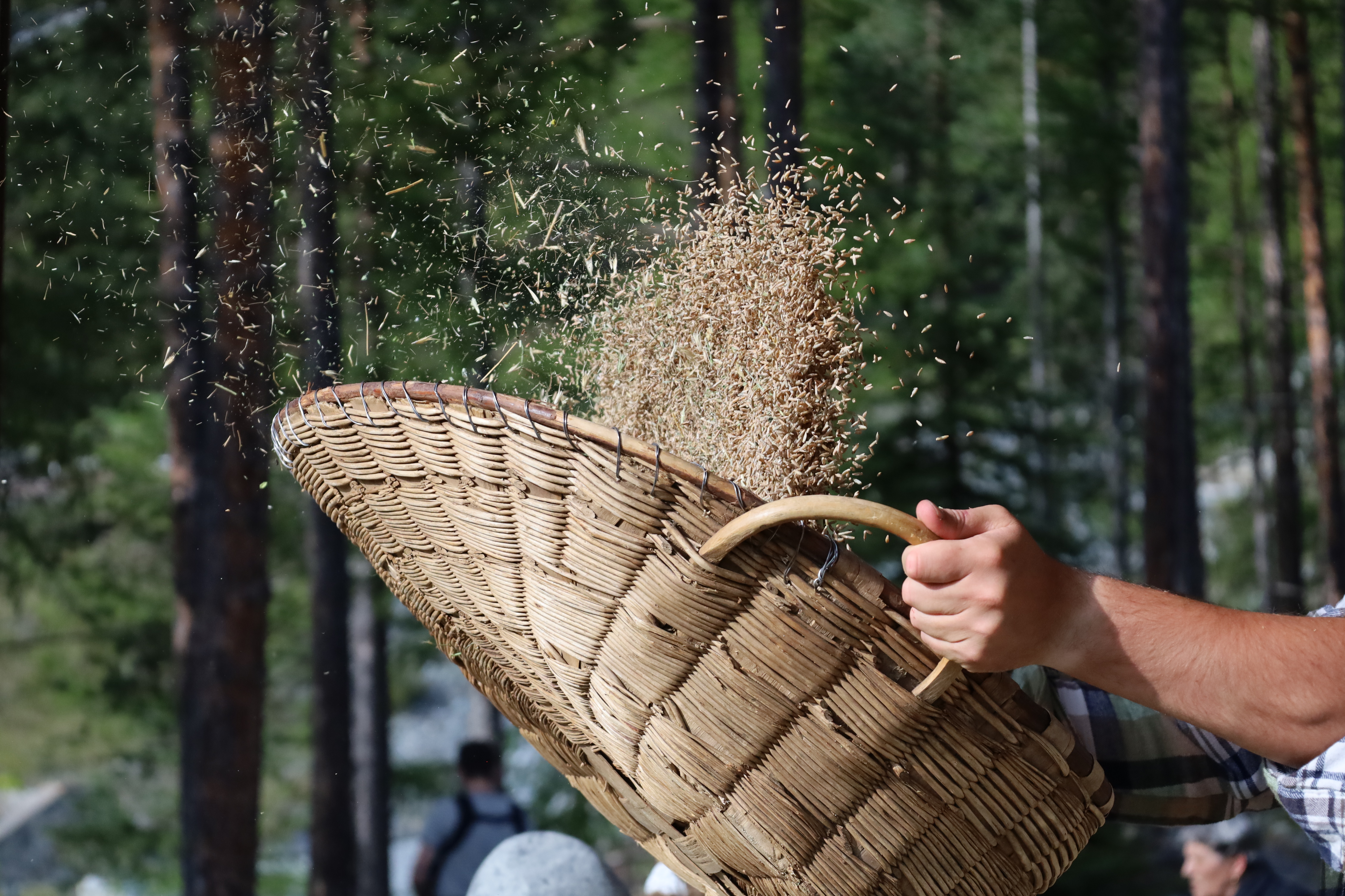 Immagine gallery del comune di Il giardino botanico alpino "Rezia"