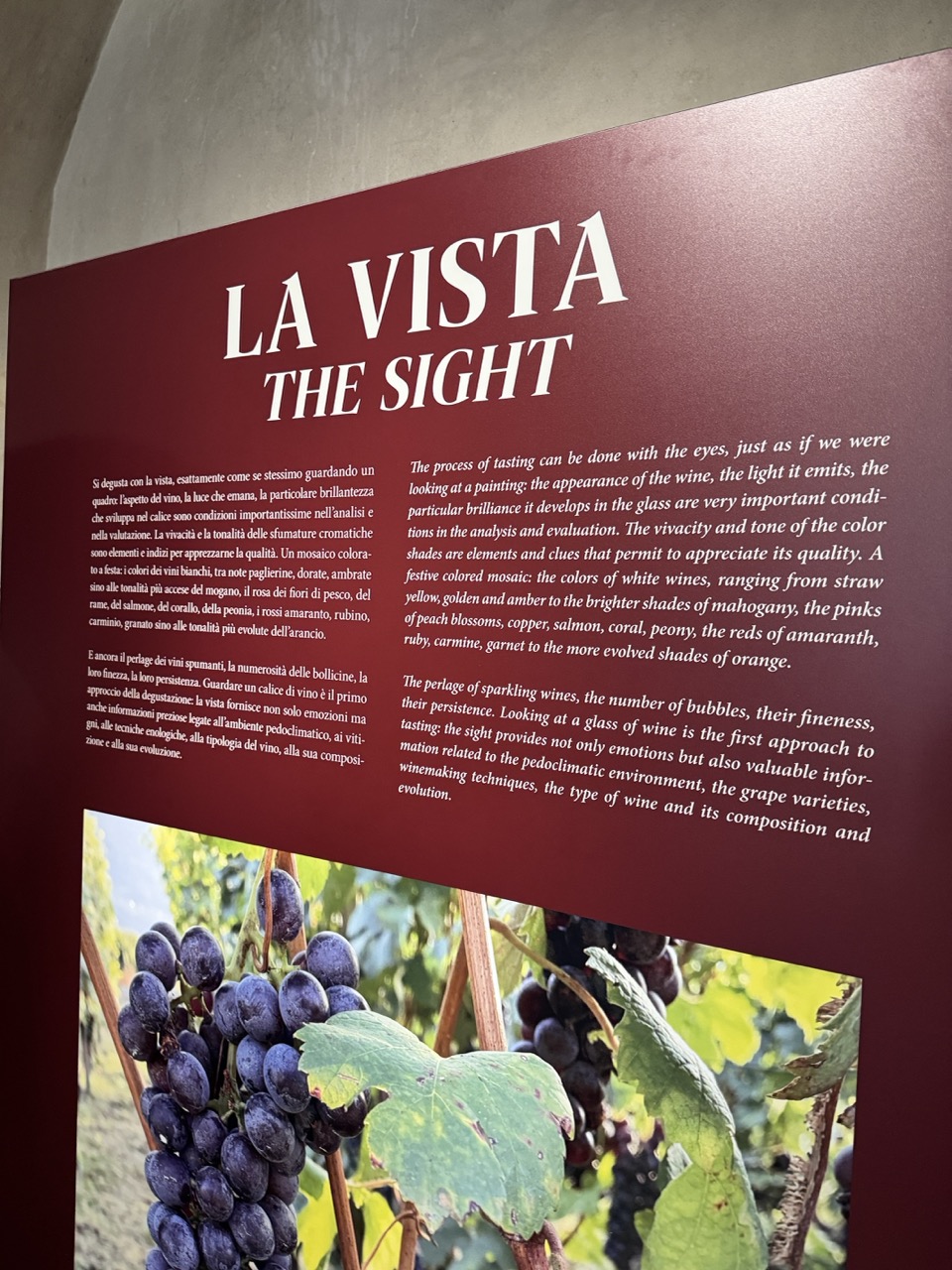 Immagine gallery articolo Palazzo Besta e il vino raccontato con tutti i sensi