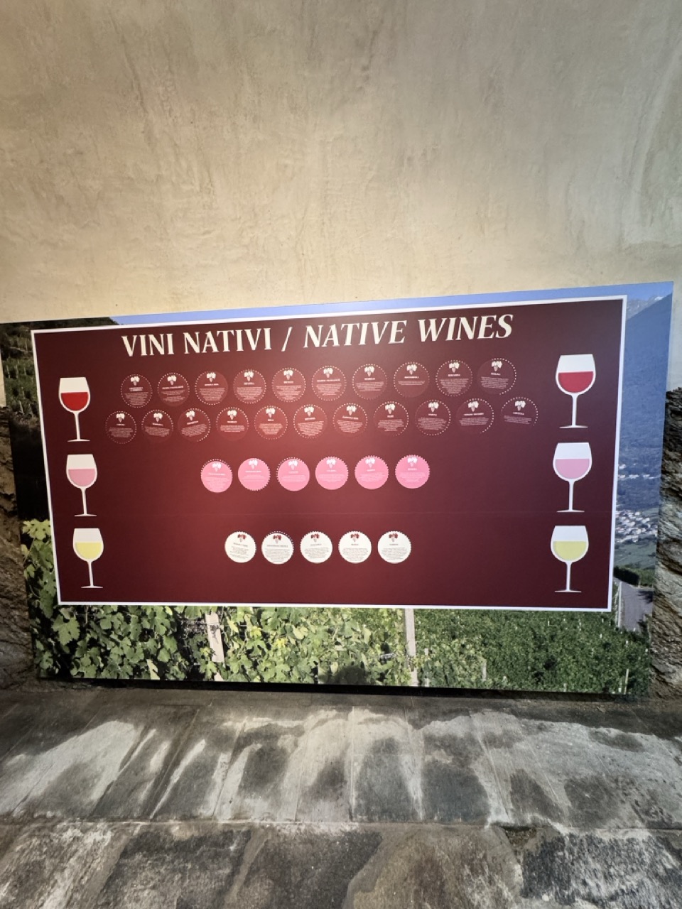Immagine gallery articolo Palazzo Besta e il vino raccontato con tutti i sensi