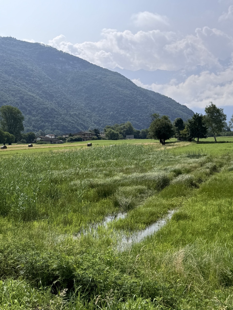 Immagine gallery articolo Passteggiando: una domenica di gusto (e di belle scoperte) lungo il lago di Novate