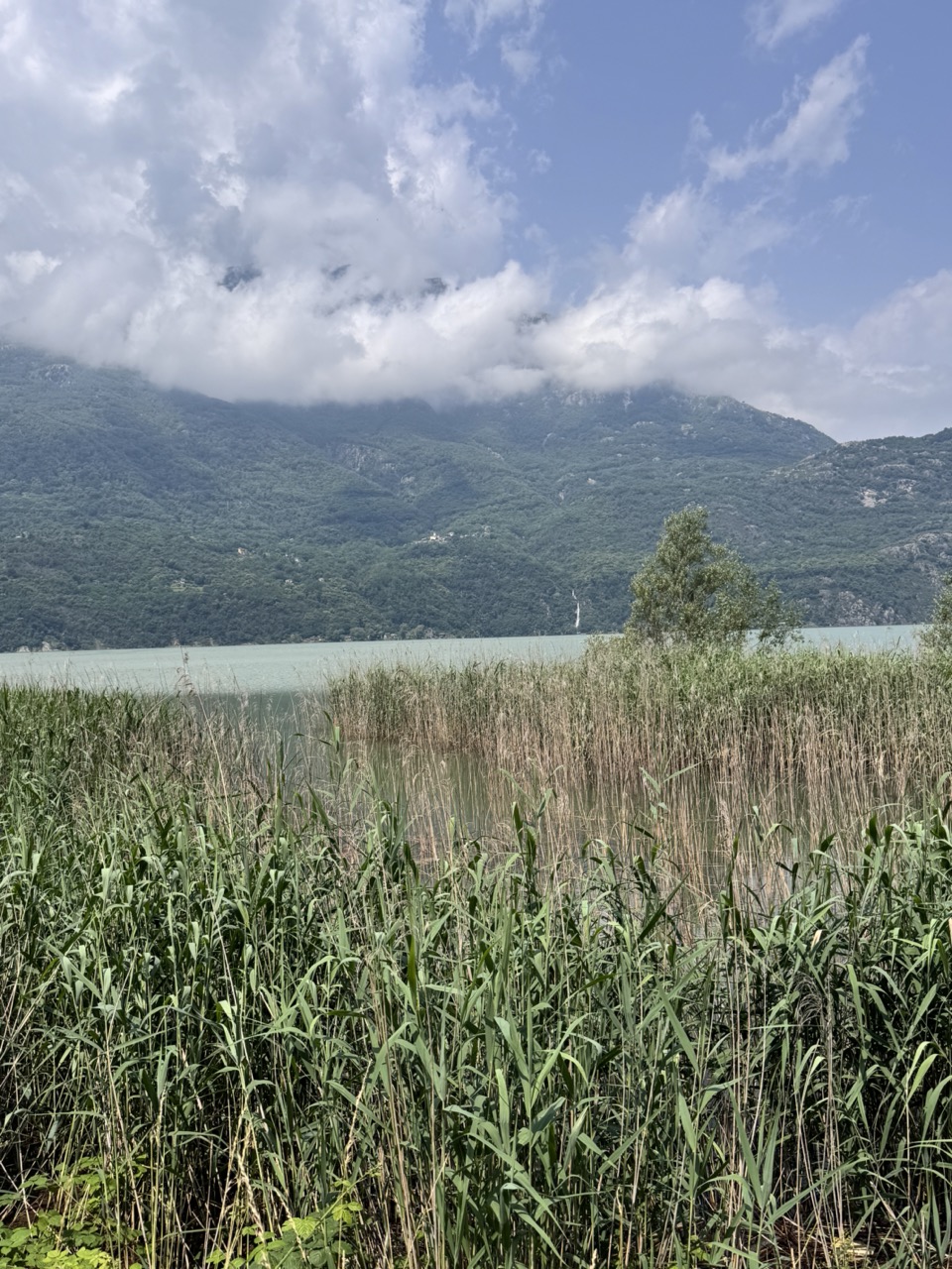Immagine gallery articolo Passteggiando: una domenica di gusto (e di belle scoperte) lungo il lago di Novate