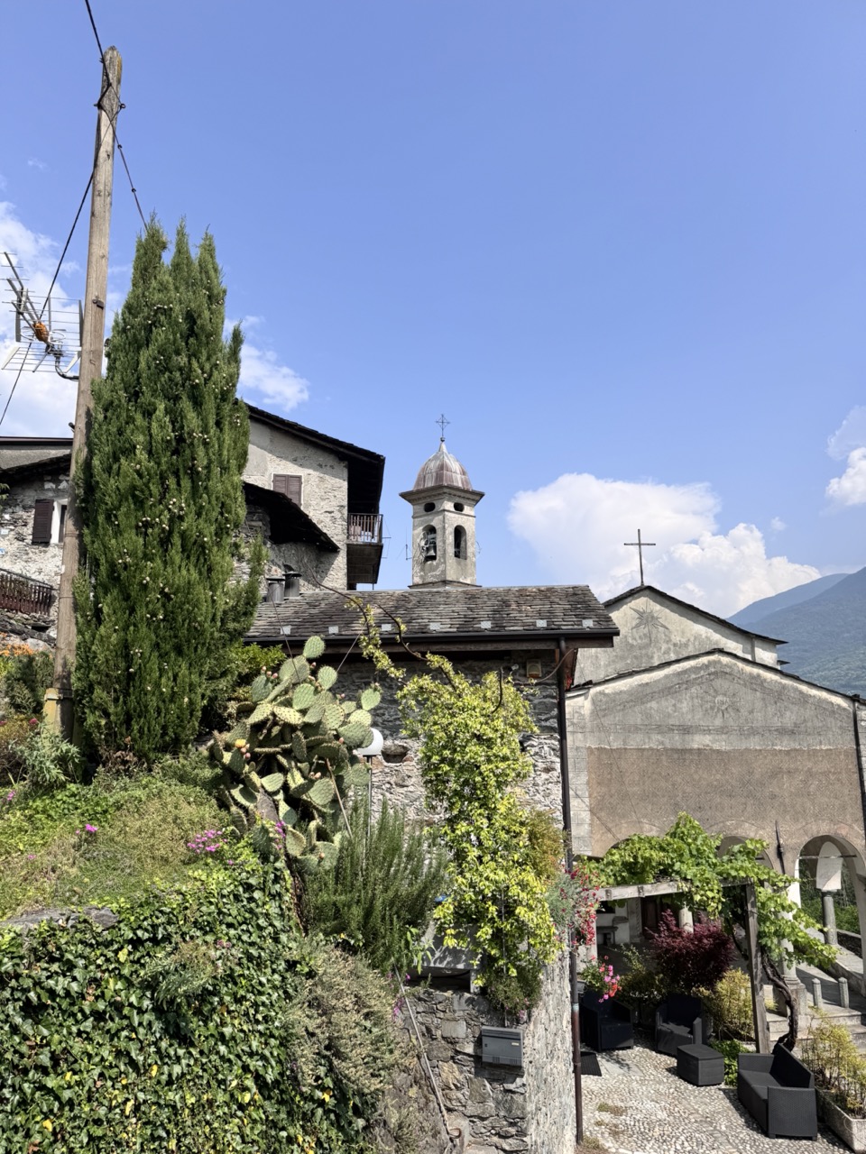 Immagine gallery azienda Residenza Sassella