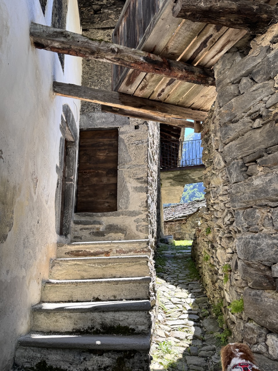 Immagine gallery articolo Una giornata a Sostila, il paese fantasma