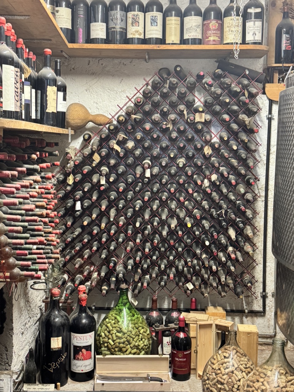 Immagine gallery articolo V per Vendemmia: l'esperienza da vivere in vigna da Folini