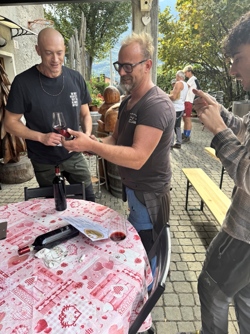 Immagine gallery articolo V per Vendemmia: l'esperienza da vivere in vigna da Folini