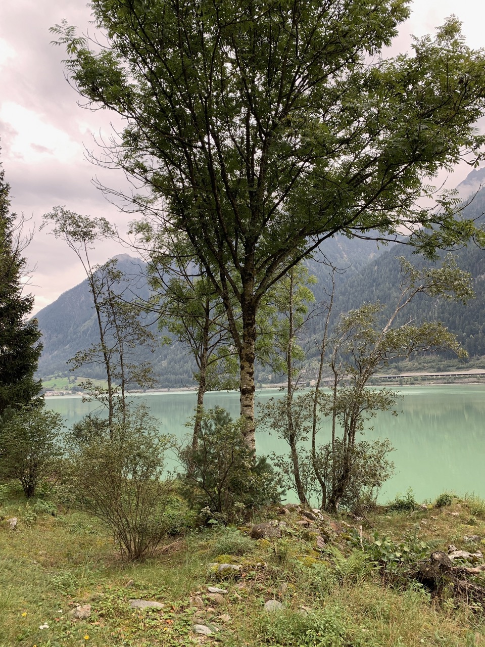 Immagine gallery del comune di Valposchiavo