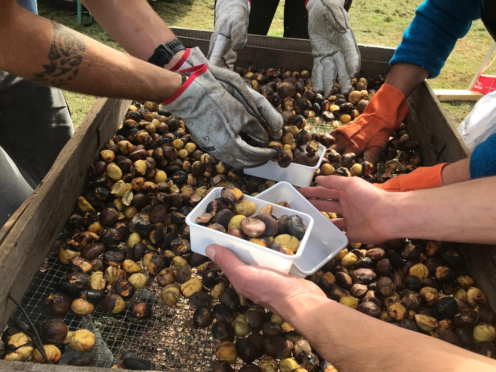 Immagine gallery articolo A Sondalo torna La Miğiondàra: la festa d’autunno tra gusto, tradizione e natura
