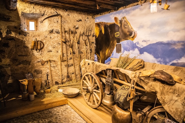 Immagine gallery articolo Il MUS di Livigno festeggia 10 anni