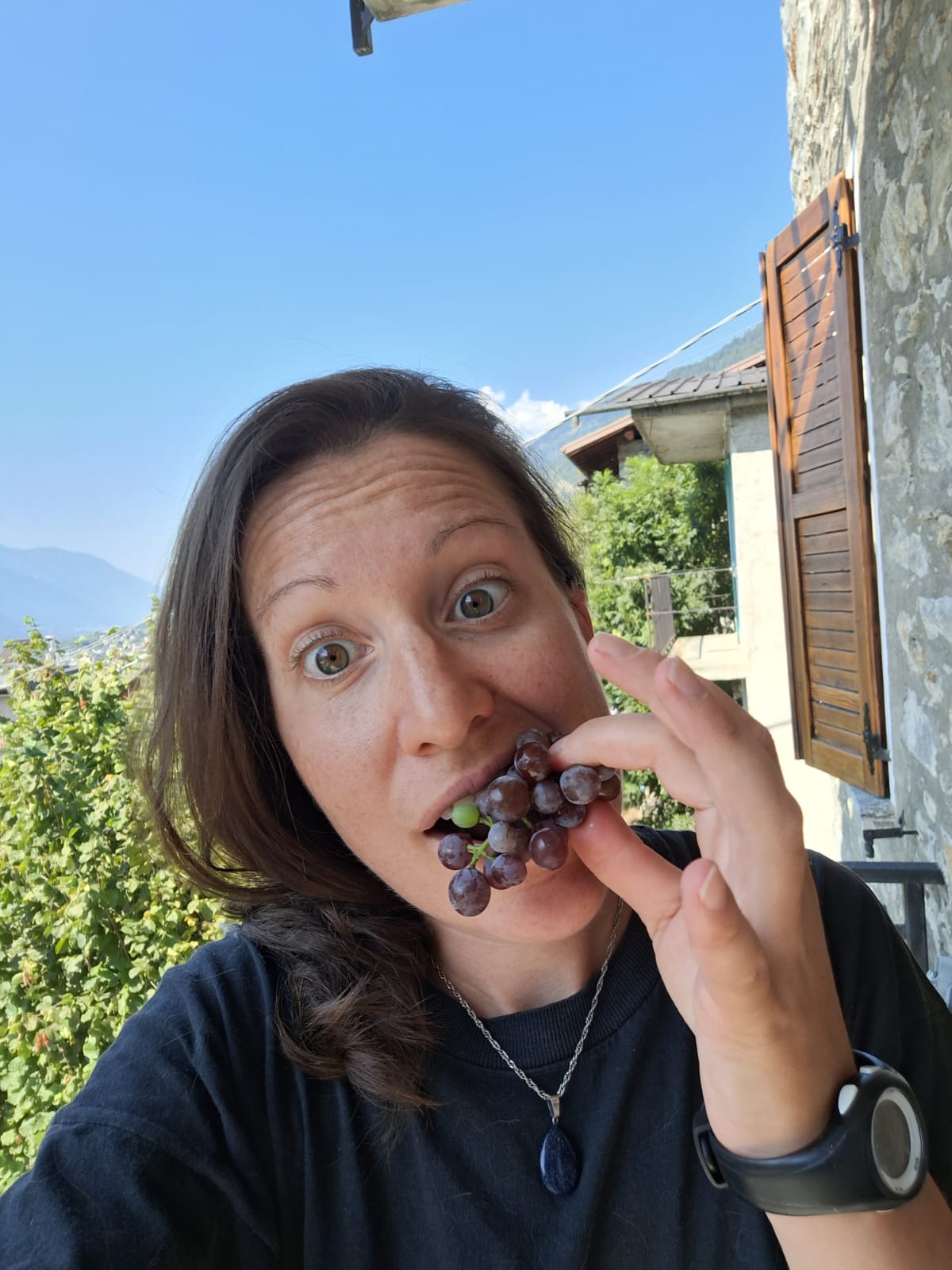 Immagine gallery articolo Radici Alpine: la sfida coraggiosa di Veronica tra vino bianco e miele in Valtellina