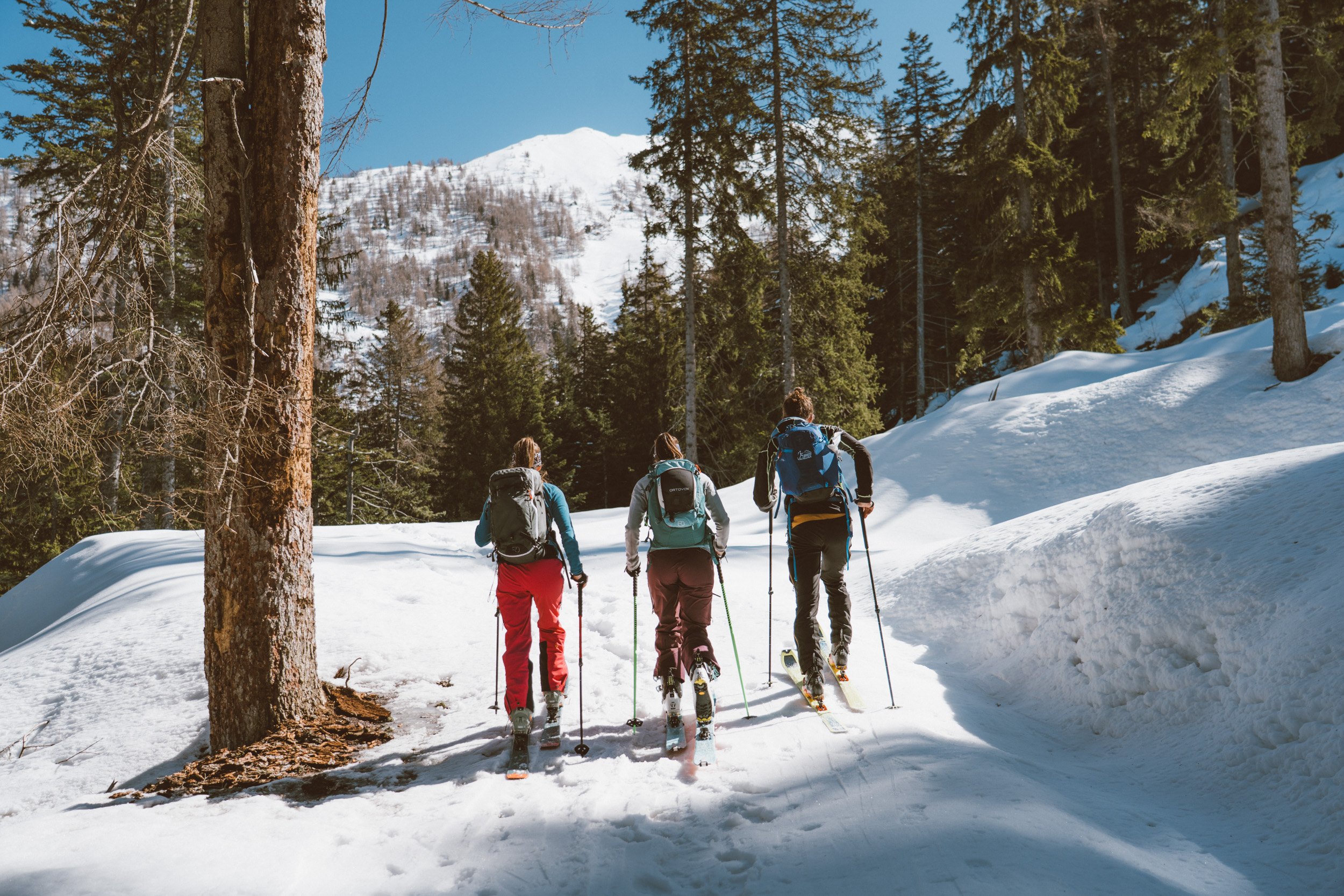 Immagine gallery articolo La Bassa Valtellina si accende: festività natalizie, natura e tradizioni
