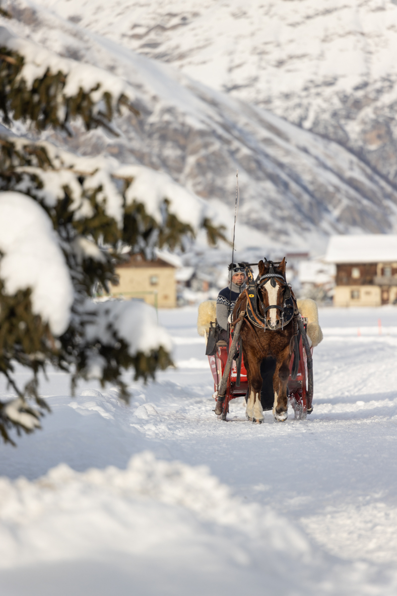 Immagine gallery del comune di Livigno