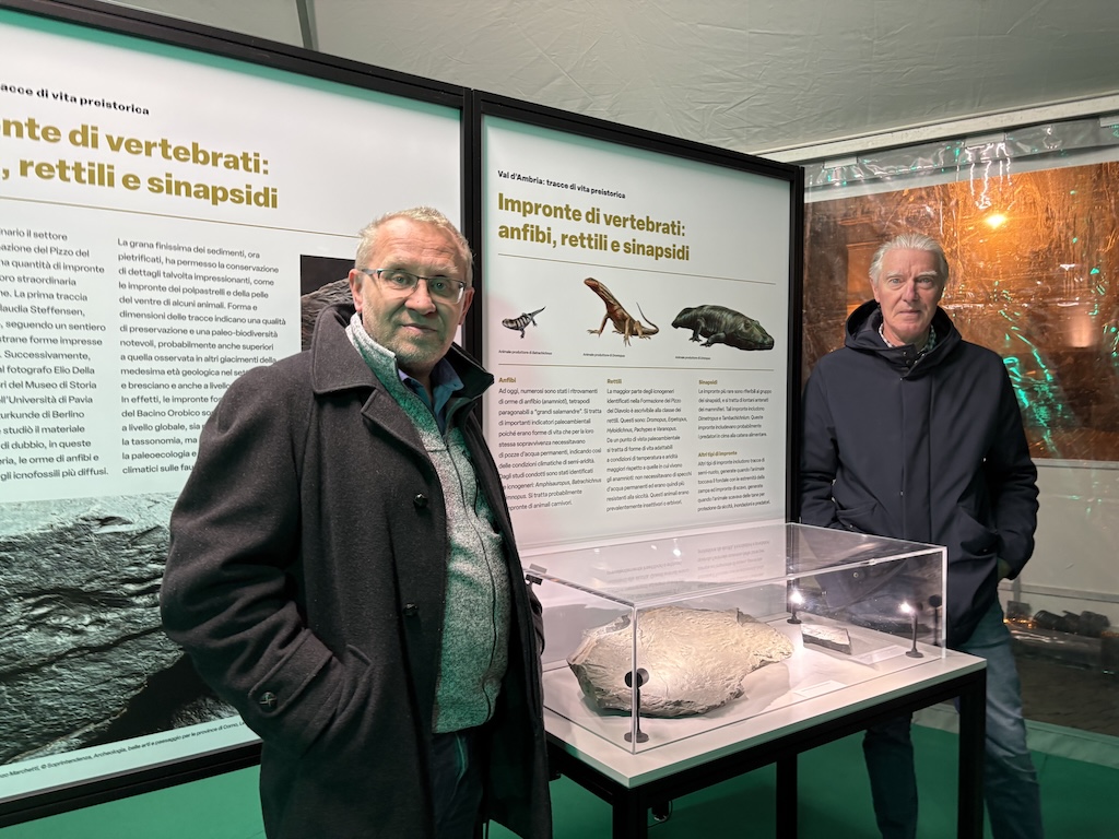 Immagine gallery articolo La Val d'Ambria e i suoi reperti paleontologici in mostra ad Albaredo