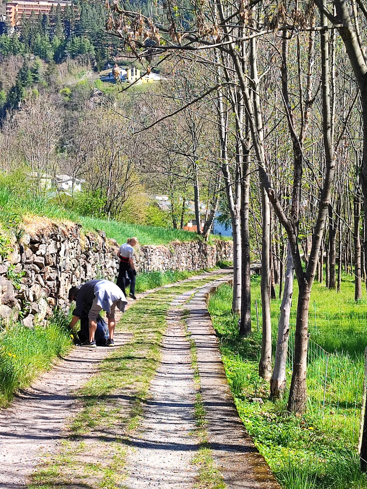 Immagine gallery articolo Grande partecipazione per la Giornata Ecologica 2026 a Sondalo: un segnale positivo per il territorio