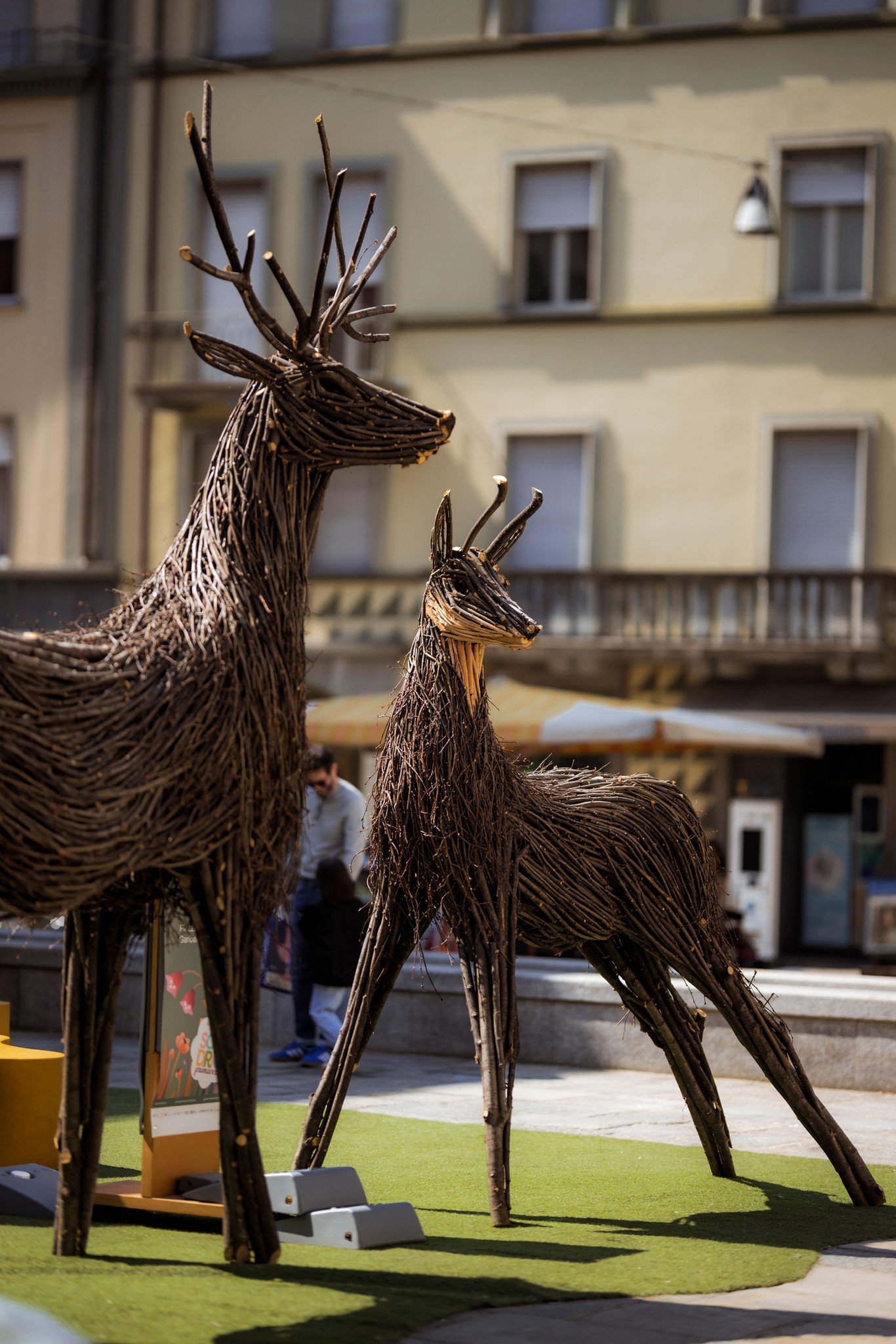 Immagine gallery articolo Biologico, benessere e sostenibilità: a Sondrio un fine settimana da tutto esaurito