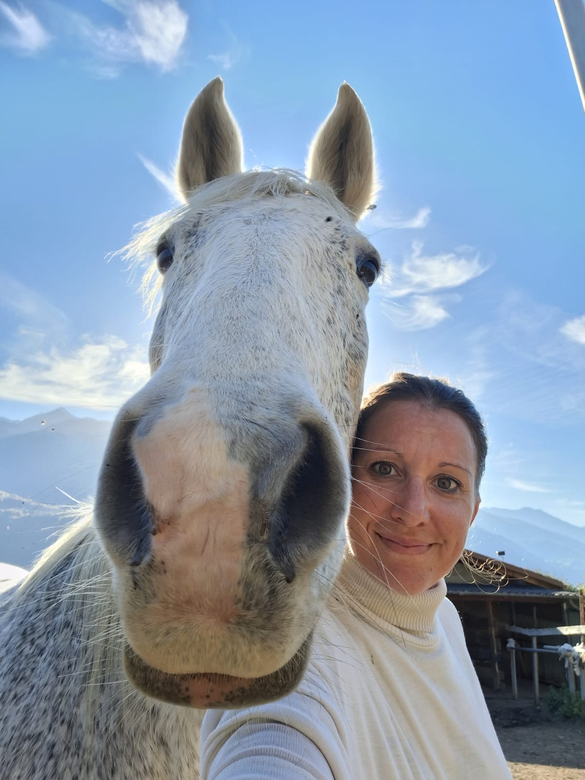 Immagine gallery articolo Radici Alpine: la sfida coraggiosa di Veronica tra vino bianco e miele in Valtellina