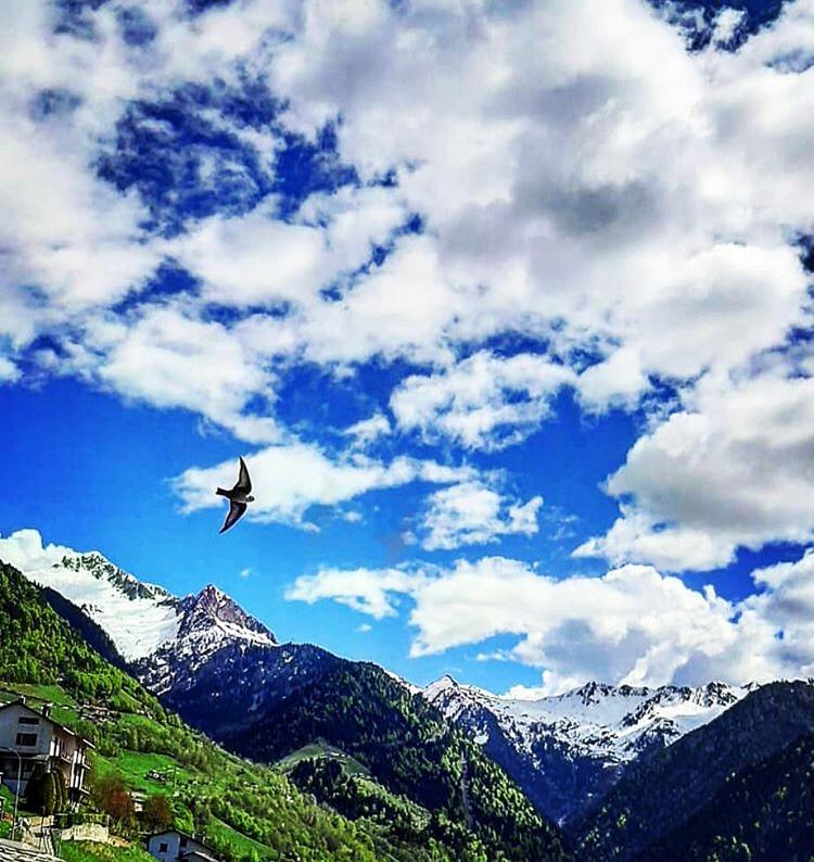 Immagine gallery evento Festa Patronale di San Rocco