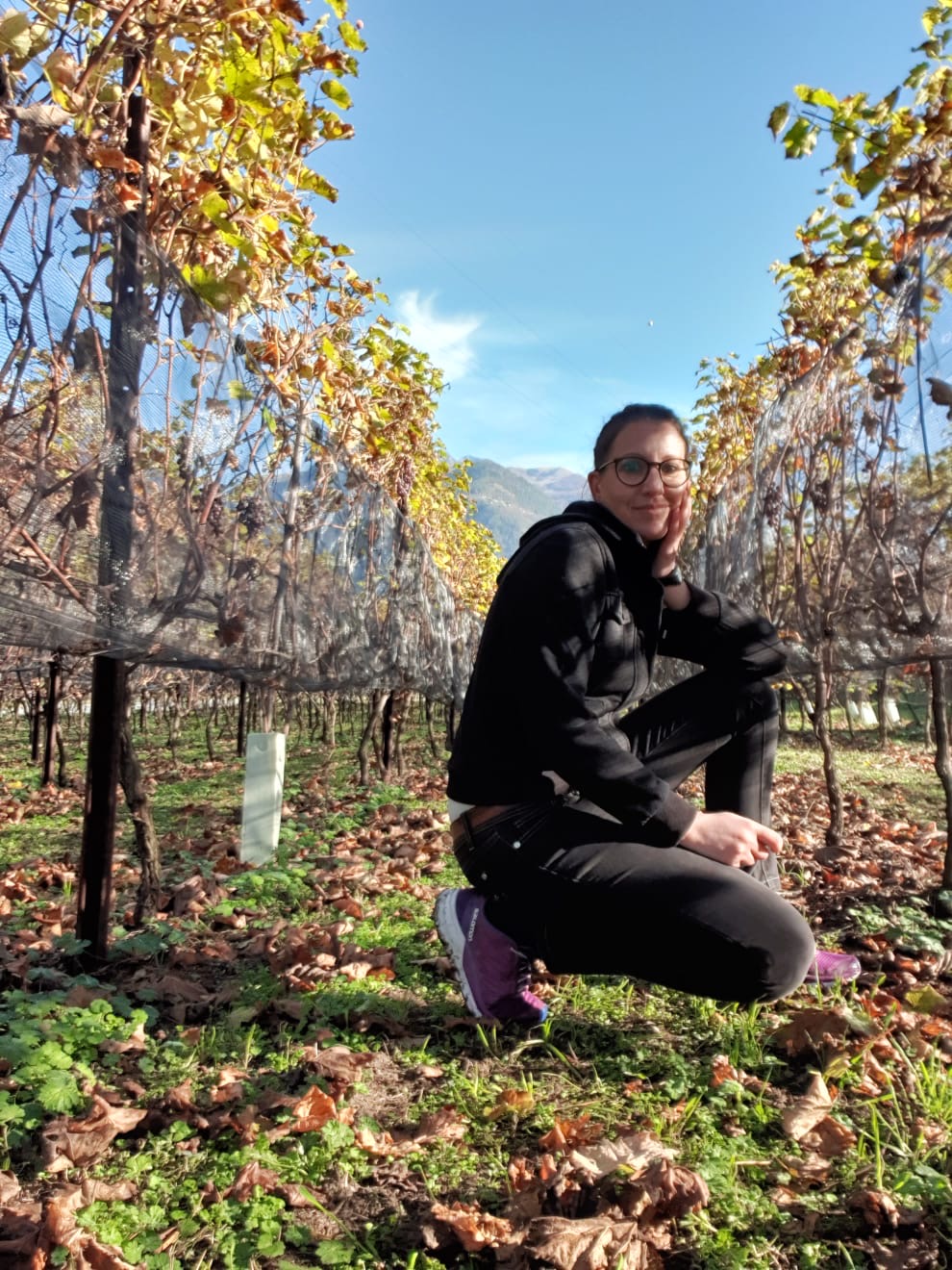 Immagine gallery articolo Radici Alpine: la sfida coraggiosa di Veronica tra vino bianco e miele in Valtellina