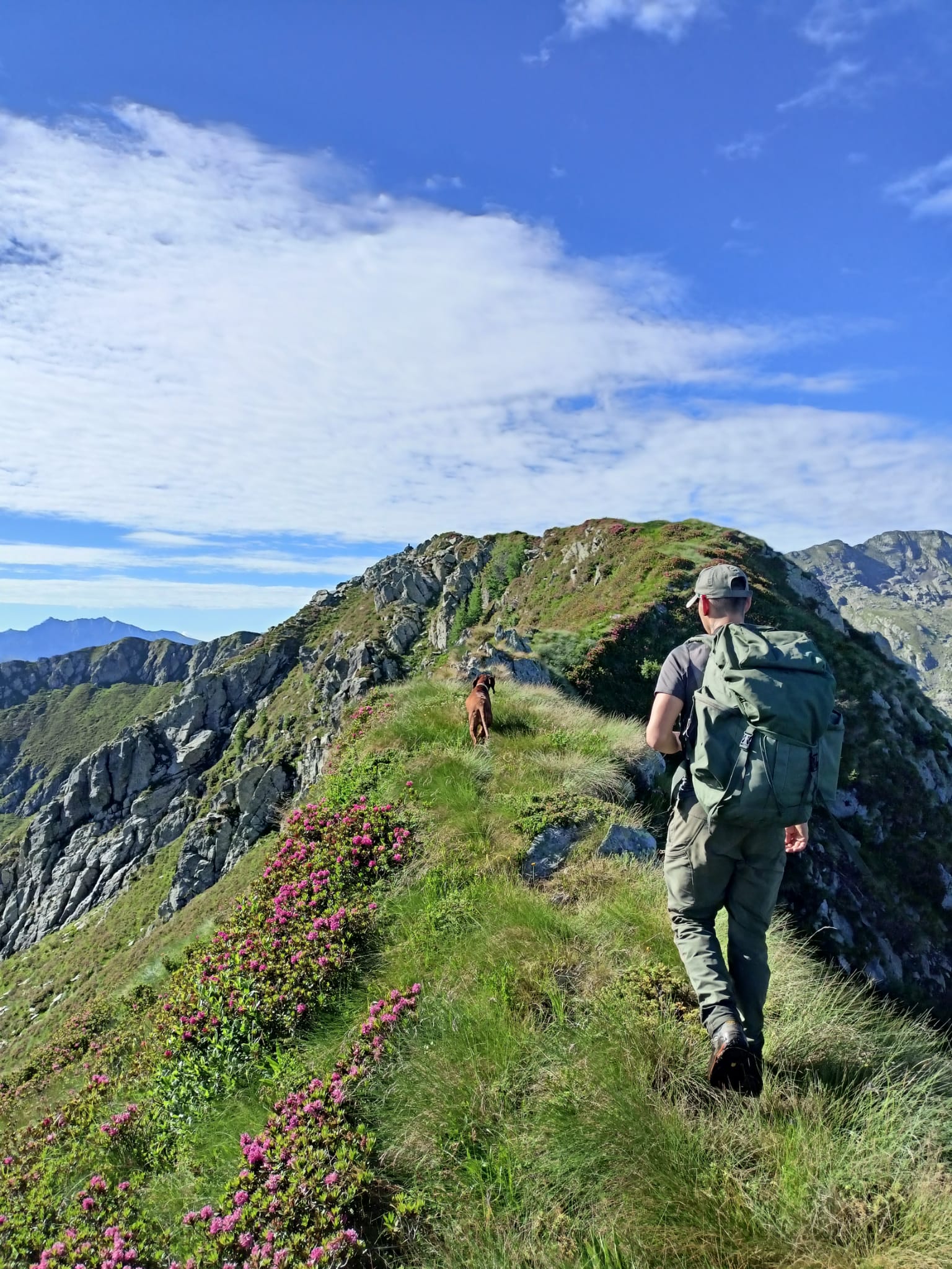 Immagine gallery azienda Albaredo Promotion  APS