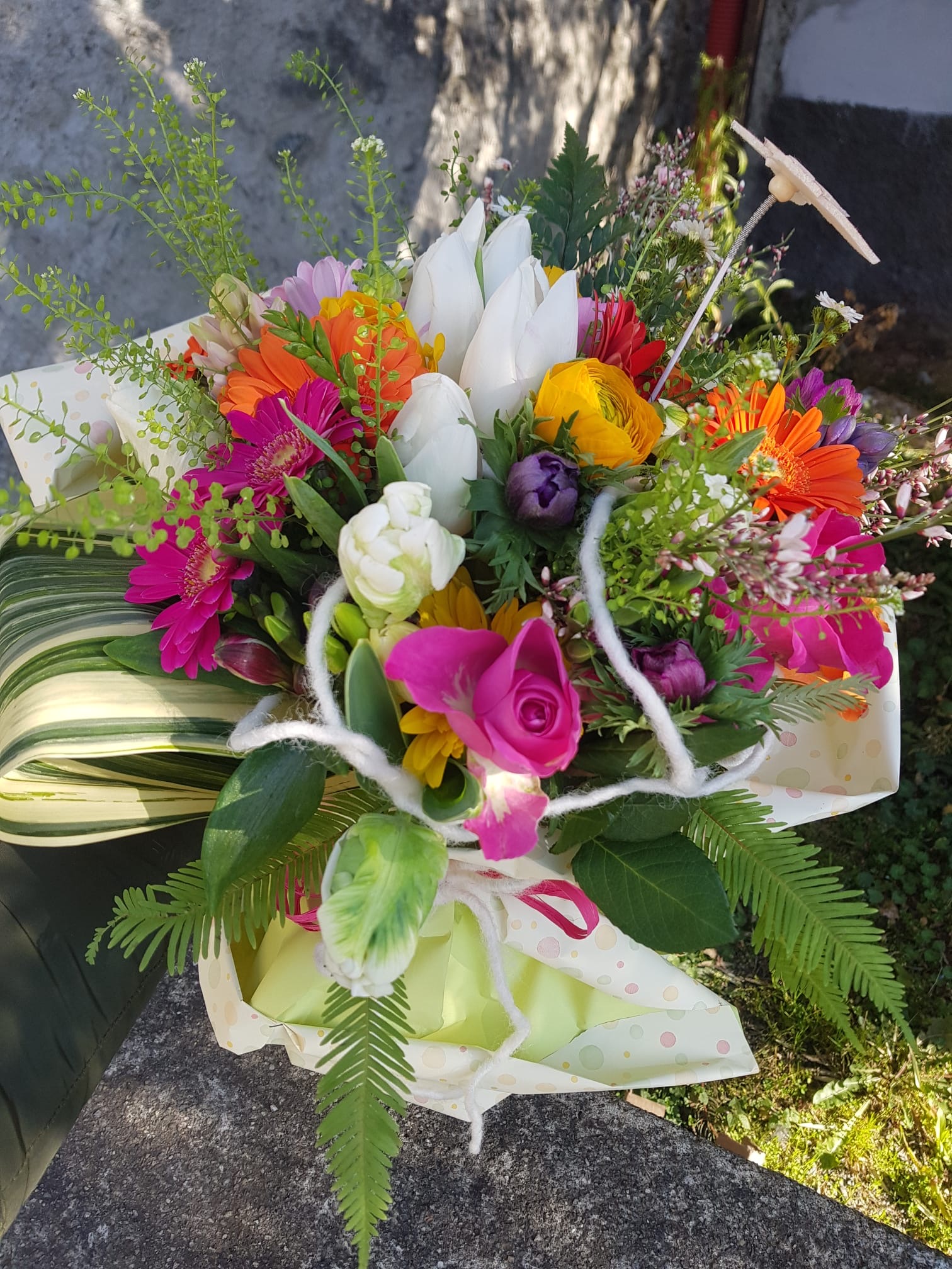 Immagine gallery azienda Vivai Giumelli Azienda Agricola