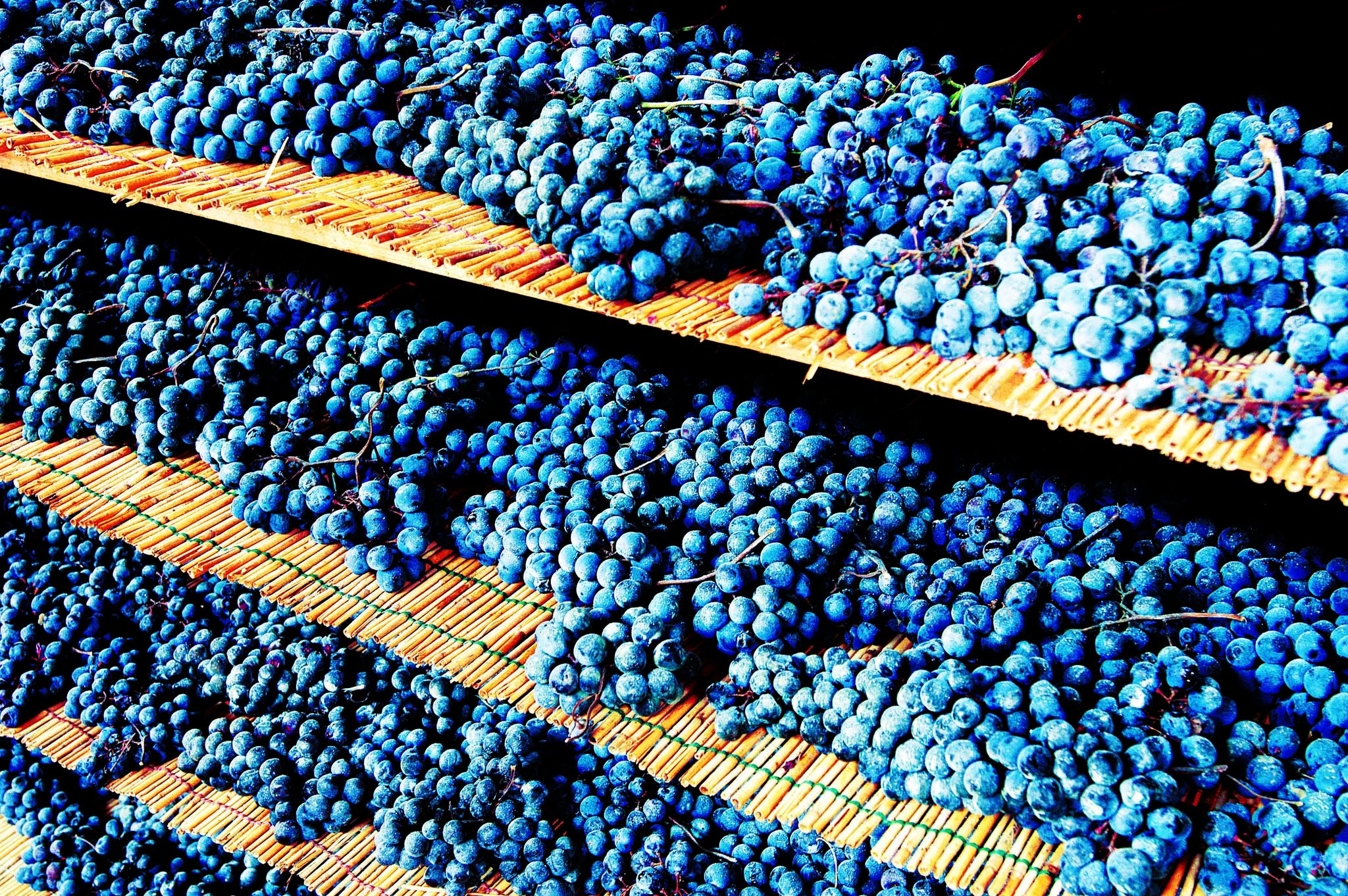 Immagine gallery evento Eroico Rosso Sforzato Wine Festival