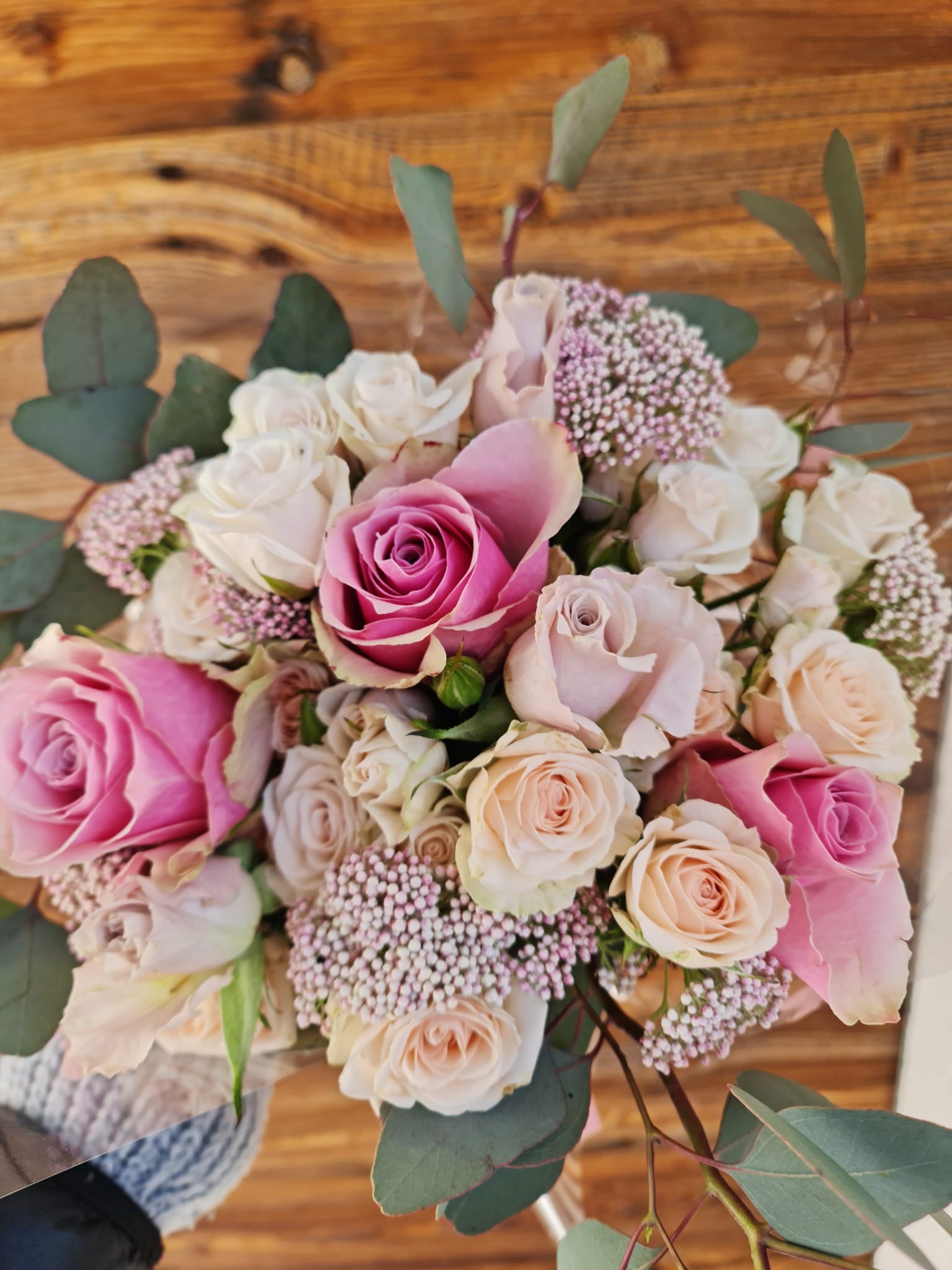 Immagine gallery azienda Vivai Giumelli Azienda Agricola