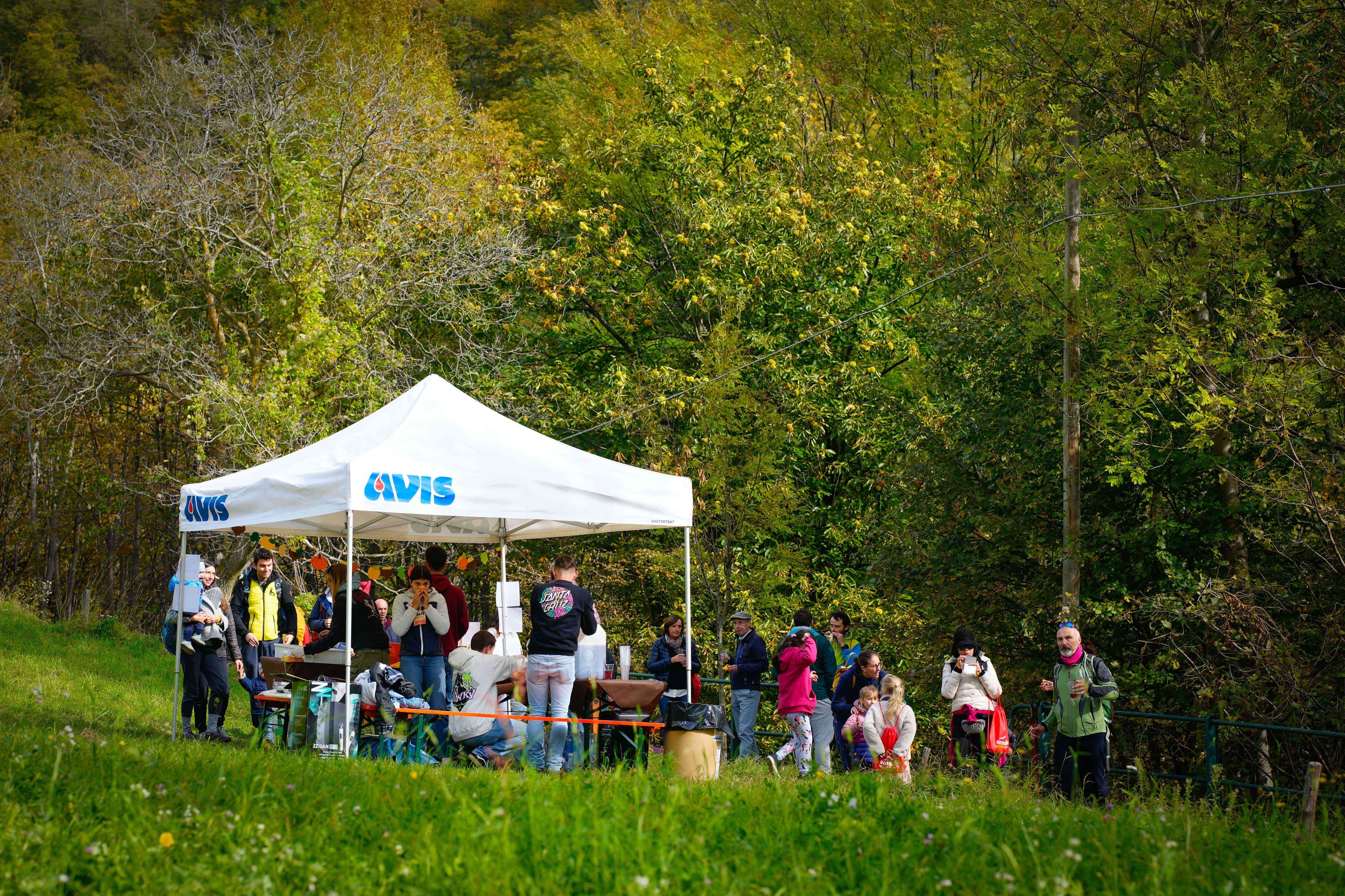 Immagine gallery articolo A Sondalo torna La Miğiondàra: la festa d’autunno tra gusto, tradizione e natura