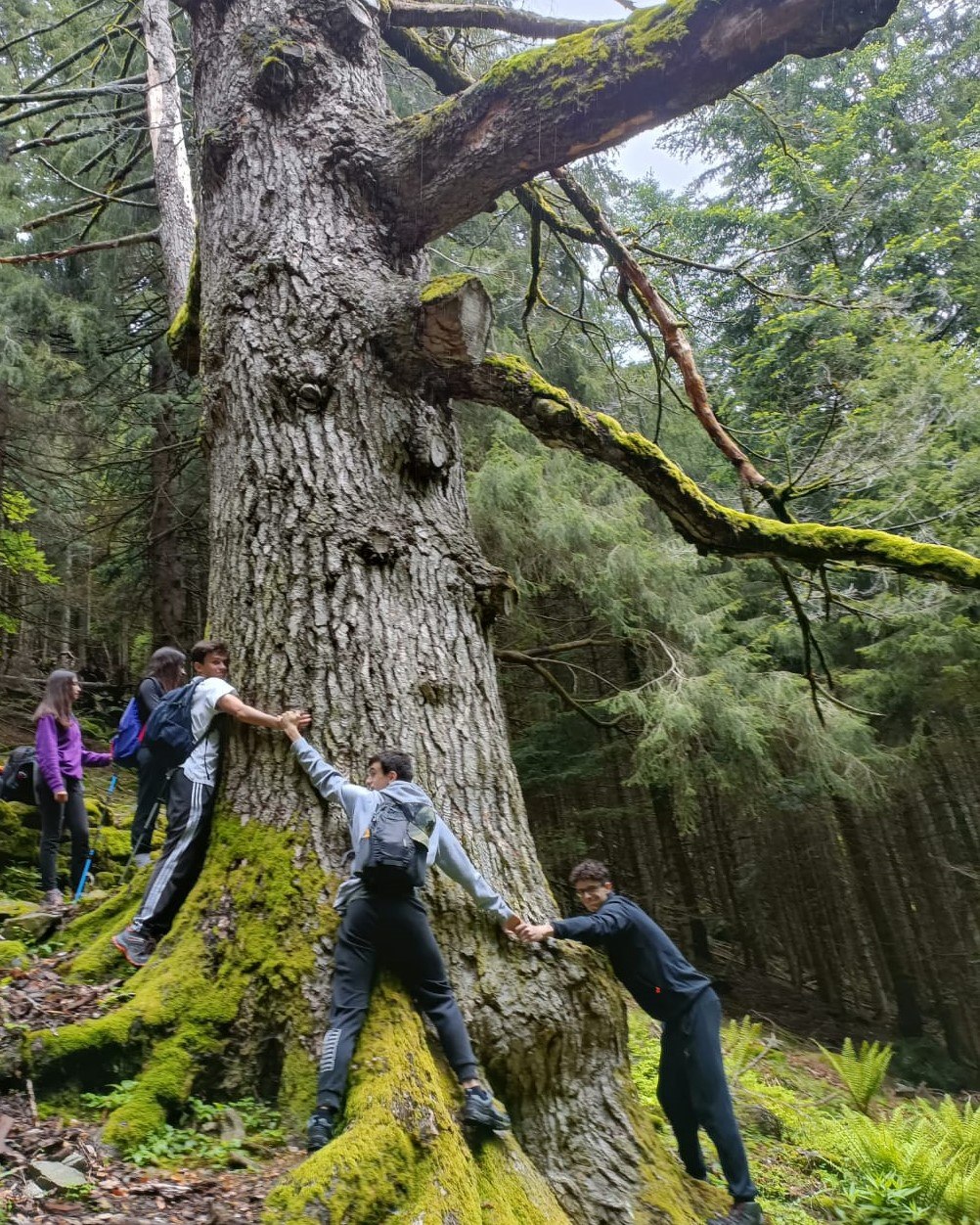 Immagine gallery articolo Didattica immersiva e orientata al territorio ad Albaredo