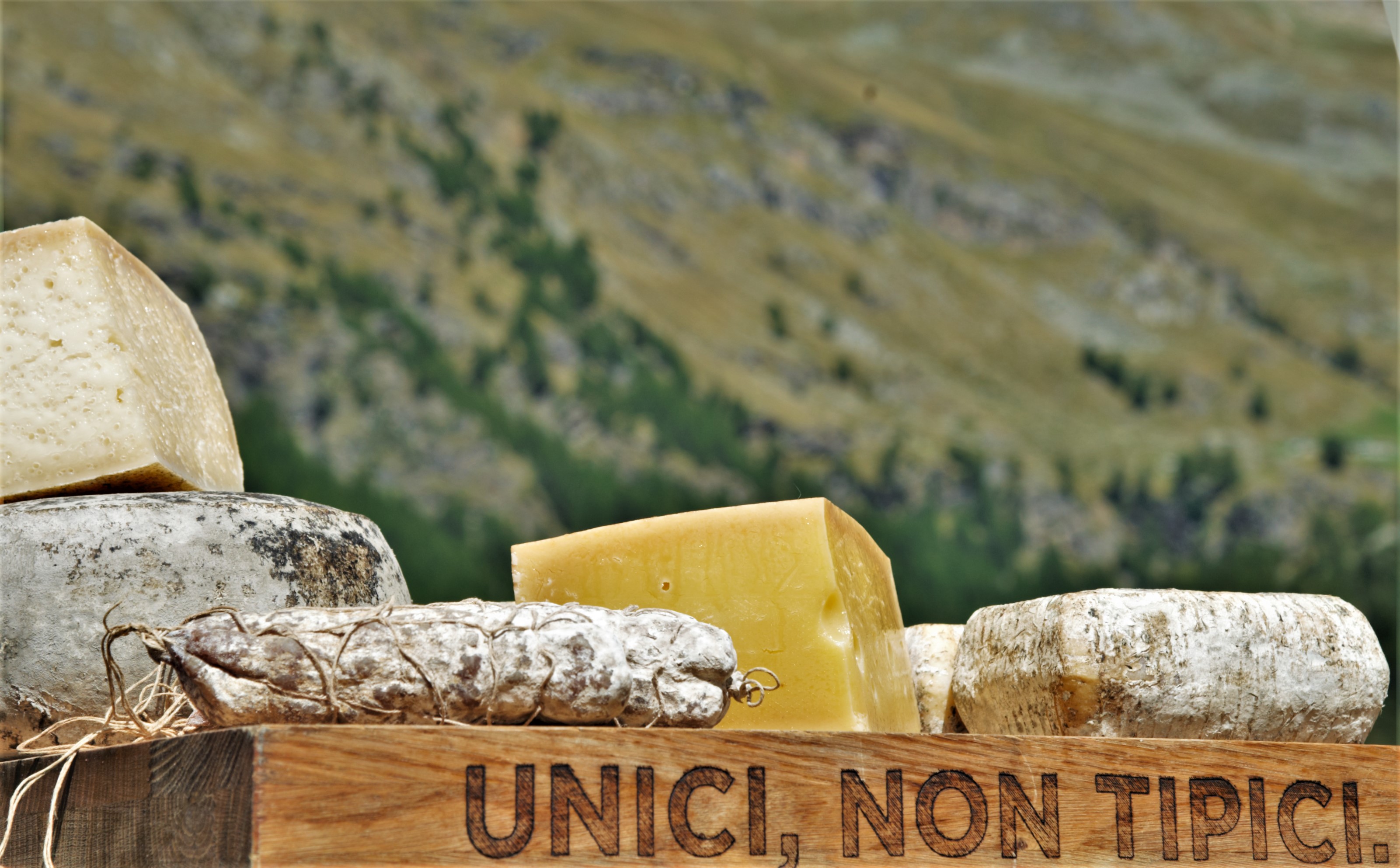 Immagine gallery evento Saór de Rèzel