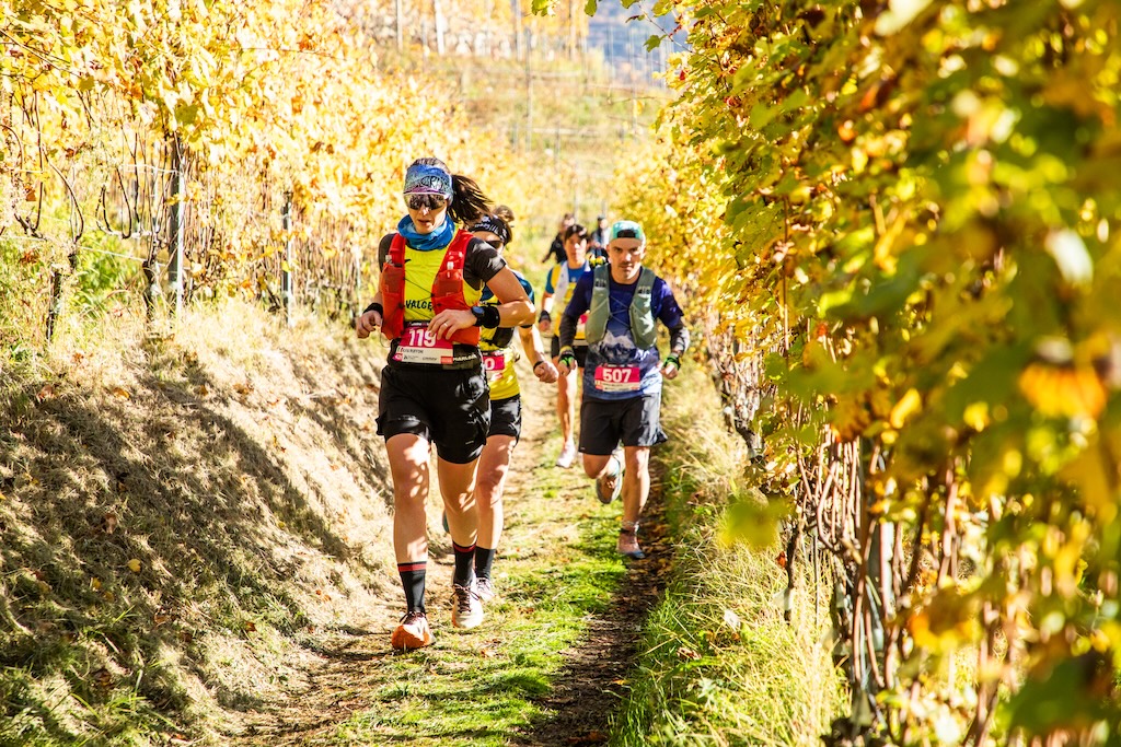 Immagine gallery articolo Valtellina Wine Trail 2025 Christian Minoggio e Anna Plattner firmano la 12ª edizione