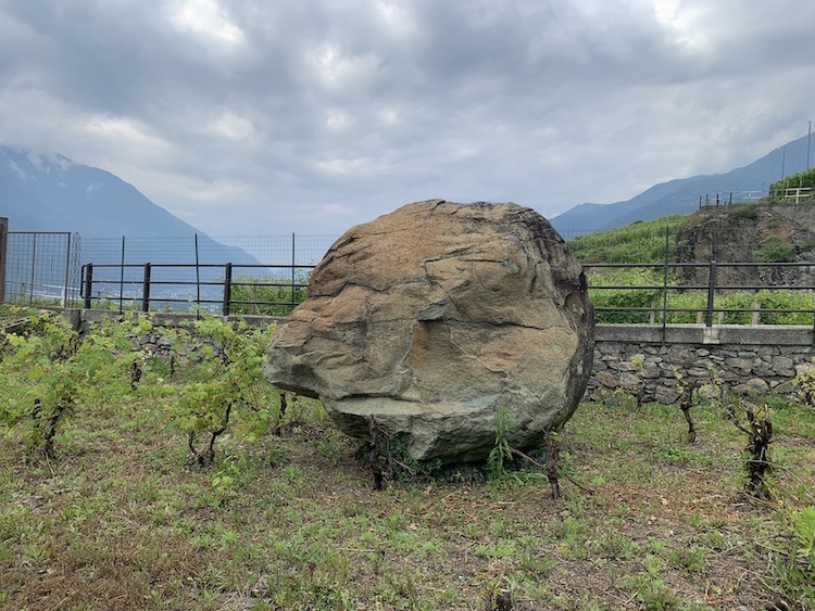 Azienda La Cà del Cunfec, Castione Andevenno | Calendario Valtellinese