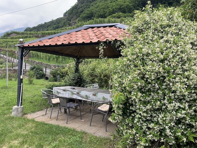Azienda La Cà del Cunfec, Castione Andevenno | Calendario Valtellinese