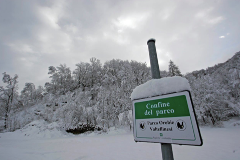 Il parco delle Orobie Valtellinesi | Blog di Valendario Valtellinese