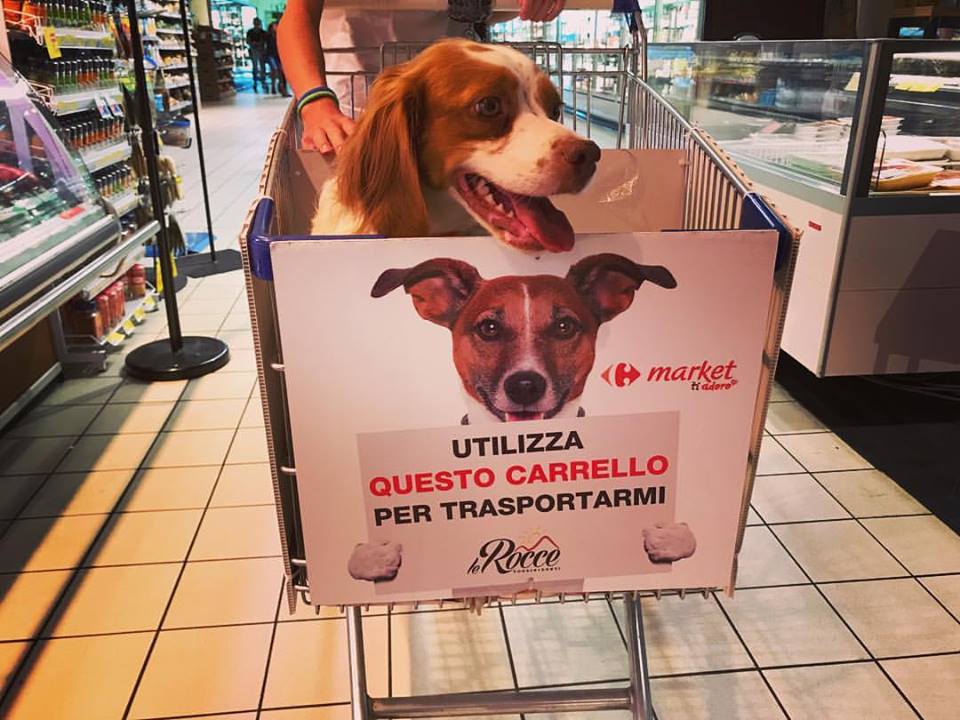 Azienda Supermercato Le Rocce, Poggiridenti | Calendario Valtellinese