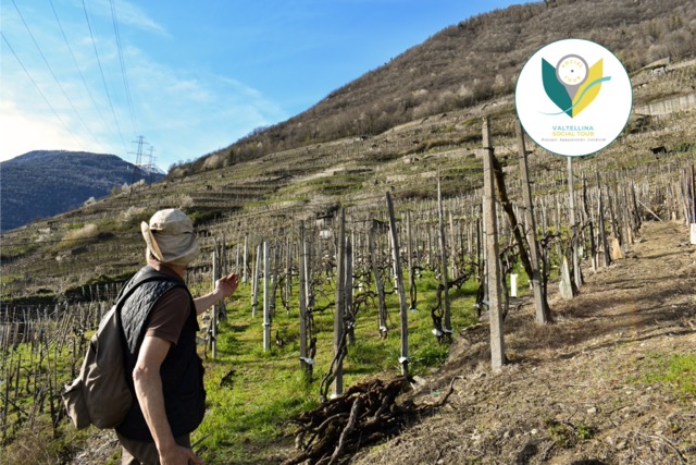 Azienda Consorzio Sol.Co. Sondrio, Sondrio | Calendario Valtellinese