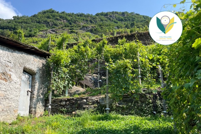 Azienda Consorzio Sol.Co. Sondrio, Sondrio | Calendario Valtellinese