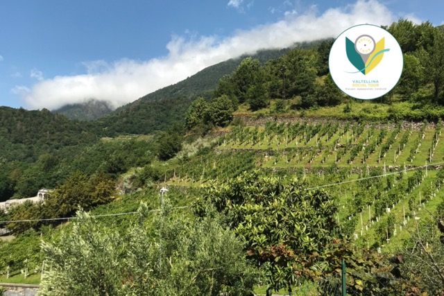 Azienda Consorzio Sol.Co. Sondrio, Sondrio | Calendario Valtellinese